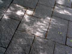 20120521日食木漏れ日.jpg