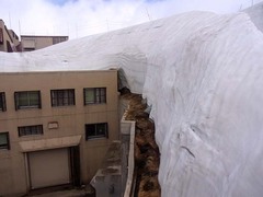 室堂・ターミナルに覆い被さる雪.jpg