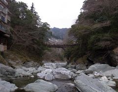 祖谷観光・かずら橋・川原から.jpg