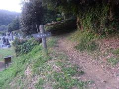 10407095_602621419844223_8957271856672097398_n.jpg