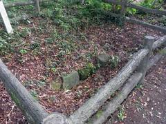 10519505_602621303177568_378409031910020430_n.jpg
