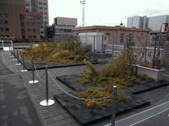 神奈川県庁本庁舎屋上庭園.jpg