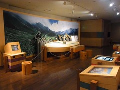 室堂・立山自然保護センター・2F展示室2.jpg