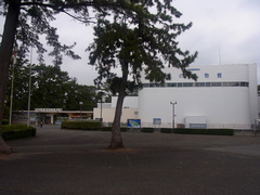 東海大学海洋科学博物館.jpg