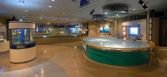 東海大学海洋科学博物館/機械水族館/全景.jpg
