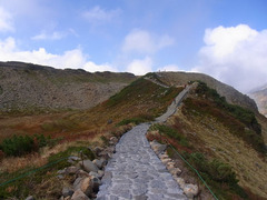 血の池とりんどう池の間の道.jpg