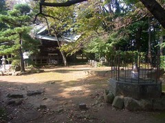 金山城・天主曲輪.jpg
