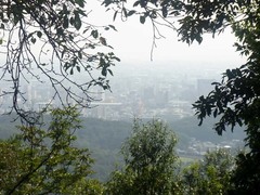 金山城・展望台からの眺め.jpg