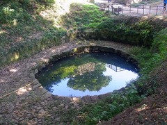 金山城・月ノ池.jpg