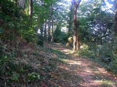 金山城・本丸・武者走り.jpg