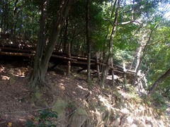 金山城・桟道.jpg