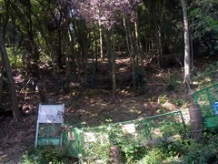 金山城・発掘調査現場.jpg