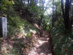 金山城・西矢倉台下堀切.jpg