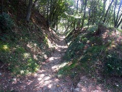 金山城・西矢倉台西堀切.jpg