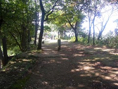 金山城・馬場.jpg