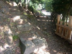 金山城・馬場への階段.jpg