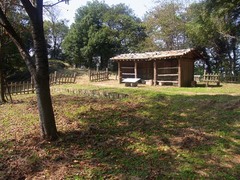 金山城・馬場曲輪・全景2.jpg