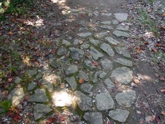 金山城・馬場通路・石畳.jpg