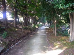 鑁阿寺・土塁(南東隅付近内側より).jpg