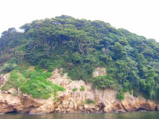 猿島絶壁.jpg